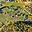Prodej stavební parcely 706 m² Sázava Černé Budy, Zúžená