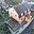 Prodej rodinného domu 226 m² Bžany Lhenice
