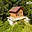 Prodej chaty 42 m² Albrechtice