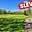 Prodej stavební parcely 8 053 m² Nová Role Mezirolí