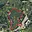 Prodej stavební parcely 1 227 m² Vacov