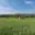 Prodej louky 25 348 m² Lampertice