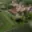Prodej skladu 4 555 m² Ploskovice Těchobuzice