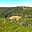Prodej stavební parcely 8 000 m² Libá