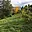 Prodej stavební parcely 1 233 m² Žatec, Jungmannova