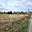 Prodej stavební parcely 2 195 m² Lhotka