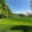 Prodej stavební parcely 5 776 m² Borová