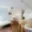 Pronájem bytu 1+kk a garsoniéry 45 m² Praha Letňany, Nepomuckých