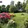 Prodej stavební parcely 1 306 m² Blažejovice
