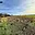 Prodej stavební parcely 8 513 m² Chrast, Tylova