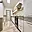 Prodej bytu 3+1 60 m² Chomutov, Pod Břízami