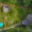 Prodej chaty 20 m² Semily