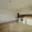 Pronájem bytu 1+kk a garsoniéry 30 m² Kuřim
