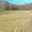 Prodej stavební parcely 1 809 m² Pertoltice Dolní