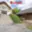 Prodej rodinného domu 242 m² Svinošice