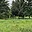 Prodej stavební parcely 4 491 m² Chocenice Chocenická Lhota