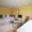 Prodej chaty 30 m² Kralupy nad Vltavou Zeměchy