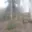 Prodej lesa 5 193 m² Turnov