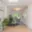 Pronájem rodinného domu 200 m² Praha Kobylisy, Sedlecká