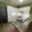 Prodej bytu 1+kk a garsoniéry 28 m² Olomouc Povel, Janského