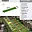 Prodej stavební parcely 1 081 m² Štarnov