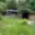 Prodej zahrady 338 m² Tachov