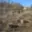 Prodej stavební parcely 482 m² Vysoké nad Jizerou Stará Ves
