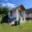 Prodej chaty 16 m² Tachov