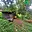 Prodej zahrady 550 m² Janovice