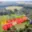 Prodej stavební parcely 801 m² Louňovice