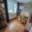 Pronájem bytu 2+1 63 m² Nový Bor