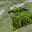 Prodej stavební parcely 708 m² Letovice