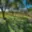 Prodej zahrady 1 046 m² Kyjov
