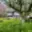Prodej zahrady 411 m² Novosedlice