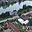 Prodej rodinného domu 301 m² Dobronín, Polenská