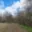 Prodej lesa 6 508 m² Miskovice Bylany