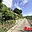 Prodej stavební parcely 1 895 m² Horní Bojanovice