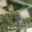 Prodej stavební parcely 1 164 m² Stonava