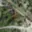 Prodej stavební parcely 1 830 m² Orlová