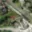 Prodej stavební parcely 1 104 m² Orlová