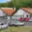 Prodej výrobního objektu 1 500 m² Teplice, V lipách