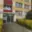 Pronájem bytu 2+kk 36 m² Mladá Boleslav II, Tylova