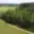 Prodej lesa 130 000 m² Chlum u Třeboně Žíteč