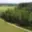 Prodej lesa 360 000 m² Chlum u Třeboně Žíteč