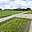 Prodej stavební parcely 1 686 m² Dolany Čáslavky