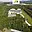 Prodej skladu 31 345 m² Sokolov, Chebská