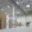 Pronájem skladu 3 000 m² Tuřany Lipoltov