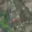 Pronájem komerčního pozemku 16 327 m² Vestec, Vídeňská