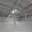 Pronájem skladu 7 066 m² Zákupy, Nové Zákupy