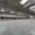 Pronájem skladu 3 000 m² Ostrava Hrušov, Žižkova